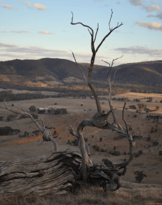 view towards the Pyrenees ranges